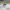 https://res.cloudinary.com/billionhands/image/upload/v1775294728/items/wkeufpcnec06lekbnsn0.jpg-0cover
