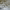 https://res.cloudinary.com/billionhands/image/upload/v1775294729/items/uucyloederkxuzly1hsd.jpg-0cover