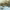 https://res.cloudinary.com/billionhands/image/upload/v1775294733/items/onpwsnrivxug9vnhcxhc.jpg-3cover