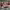https://res.cloudinary.com/billionhands/image/upload/v1775294733/items/swisj4if3hn3ygcmodkv.avif-3cover