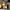 https://res.cloudinary.com/billionhands/image/upload/v1775294736/items/u2eidlf0e2lsmfxmgc0d.jpg-3cover