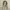 https://res.cloudinary.com/billionhands/image/upload/v1775294738/items/xnckpqfosp5jtkysvt9h.webp-3cover