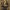 https://res.cloudinary.com/billionhands/image/upload/v1775294920/items/gw3khae0weomkjwhsxh5.jpg-0cover