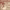https://res.cloudinary.com/billionhands/image/upload/v1775295624/items/ewnfzxznobmyc63oskfj.jpg-1cover
