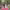 https://res.cloudinary.com/billionhands/image/upload/v1775296268/items/nkefow5rkrszbwc6ve01.jpg-2cover