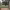 https://res.cloudinary.com/billionhands/image/upload/v1775296276/items/izcamcrczms7mfbazost.webp-3cover