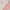 https://res.cloudinary.com/billionhands/image/upload/v1775296713/items/ctkvs0vleswgctalj7f7.jpg-0cover