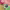 https://res.cloudinary.com/billionhands/image/upload/v1775297094/items/vjpwaphfjorofqyyoijd.webp-3cover