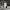 https://res.cloudinary.com/billionhands/image/upload/v1775297380/items/jxdpof5fnaqrcyqvpdmu.jpg-2cover