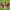 https://res.cloudinary.com/billionhands/image/upload/v1775297544/items/mrtr1zjqwapyxoq3jw09.webp-3cover