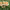 https://res.cloudinary.com/billionhands/image/upload/v1775297603/items/iapvtaf6rd2ahcyufd0r.jpg-0cover