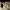 https://res.cloudinary.com/billionhands/image/upload/v1775297605/items/a0usz9rlhybbd3pwxk1v.webp-2cover