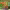 https://res.cloudinary.com/billionhands/image/upload/v1775297605/items/sguoaxmpntg5kmelhor8.webp-1cover