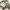 https://res.cloudinary.com/billionhands/image/upload/v1775297613/items/pdananfv9ktzotmdeu91.png-2cover