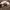https://res.cloudinary.com/billionhands/image/upload/v1775297614/items/rek6wpm0lybtx9rsdjsh.webp-2cover
