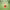 https://res.cloudinary.com/billionhands/image/upload/v1775297953/items/ym1mctwdmucs8ir9zaba.png-3cover