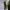Sabrina Carpenter – House Tour (2026) cover
