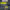 https://res.cloudinary.com/billionhands/image/upload/v1775298129/items/xiozkvtcghv3tprlw26z.jpg-0cover
