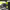 https://res.cloudinary.com/billionhands/image/upload/v1775298133/items/gpenscceflvr8c79gpsb.webp-3cover