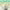 https://res.cloudinary.com/billionhands/image/upload/v1775298348/items/opejmuwylvfbzrpretps.jpg-2cover