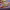https://res.cloudinary.com/billionhands/image/upload/v1775298437/items/buat4cpgz10rvfnbi2wb.avif-3cover