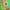 https://res.cloudinary.com/billionhands/image/upload/v1775298602/items/exngk5hagpn0fhqg5srr.jpg-3cover