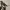 https://res.cloudinary.com/billionhands/image/upload/v1775298640/items/fvrzuvhuzda27dxunv8j.jpg-3cover