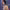 https://res.cloudinary.com/billionhands/image/upload/v1775298692/items/fcpr2biretkwmmfgjkwa.webp-3cover