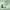 https://res.cloudinary.com/billionhands/image/upload/v1775298893/items/zasa198fbib4ugwhmmbp.jpg-0cover