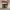 https://res.cloudinary.com/billionhands/image/upload/v1775298944/items/ncvwsegcn5ocg5mjcpp1.jpg-0cover