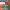 https://res.cloudinary.com/billionhands/image/upload/v1775299315/items/iwarun8ojj5giltc5jtu.jpg-0cover