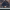 https://res.cloudinary.com/billionhands/image/upload/v1775299316/items/c2157hccdxyjmwvrbsum.jpg-2cover
