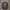 https://res.cloudinary.com/billionhands/image/upload/v1775299317/items/jzk2whfzdlkrqe9e40wm.jpg-2cover