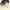 https://res.cloudinary.com/billionhands/image/upload/v1775299581/items/ruvz2rejww9r67tryaeu.jpg-0cover