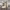 https://res.cloudinary.com/billionhands/image/upload/v1775299679/items/grcmpctgkxg4agsimwpg.jpg-2cover