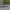 https://res.cloudinary.com/billionhands/image/upload/v1775300311/items/aktqq4qml6ax0wvslzwl.jpg-2cover