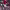 https://res.cloudinary.com/billionhands/image/upload/v1775300668/items/h8yfsnuisfgykirr7gqm.jpg-1cover