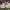 https://res.cloudinary.com/billionhands/image/upload/v1775300740/items/izmlct0wxpc3yf122irq.jpg-2cover