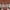 https://res.cloudinary.com/billionhands/image/upload/v1775301112/items/zsihniavtzccfnhia5ha.jpg-1cover
