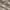 https://res.cloudinary.com/billionhands/image/upload/v1775301114/items/seef5ivin7e84rhax512.webp-3cover