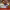 https://res.cloudinary.com/billionhands/image/upload/v1775301116/items/cohgjqhwfrwf7icplxsm.webp-1cover