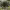 https://res.cloudinary.com/billionhands/image/upload/v1775301117/items/vtaxc1lpuhcjt6r5wit6.webp-1cover