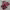 https://res.cloudinary.com/billionhands/image/upload/v1775301119/items/yxsjiunuoj6foyvq0w6c.jpg-2cover
