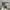 https://res.cloudinary.com/billionhands/image/upload/v1775301187/items/pae18wofskdxjqmhm9mj.webp-1cover