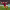 https://res.cloudinary.com/billionhands/image/upload/v1775301194/items/iajzofq2e7g3cwpciyxj.webp-0cover