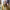 https://res.cloudinary.com/billionhands/image/upload/v1775301195/items/wwhr1rkp9wfg17vhdjwu.jpg-1cover