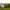 https://res.cloudinary.com/billionhands/image/upload/v1775301539/items/cggr6vvkam0rylapb0f9.jpg-3cover