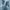 https://res.cloudinary.com/billionhands/image/upload/v1775301719/items/by314irzfvfqxj0wotqf.jpg-0cover