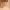 https://res.cloudinary.com/billionhands/image/upload/v1775301720/items/rnrt6n0ykqhktn8qec9u.jpg-1cover