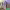 https://res.cloudinary.com/billionhands/image/upload/v1775301747/items/qly4fuch7zvs19jxofqu.jpg-2cover